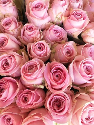 Framed Paris Petals 3 Print