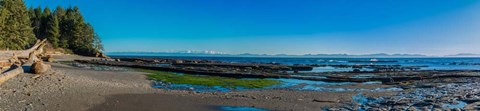 Framed Botanical Beach Panorama Print