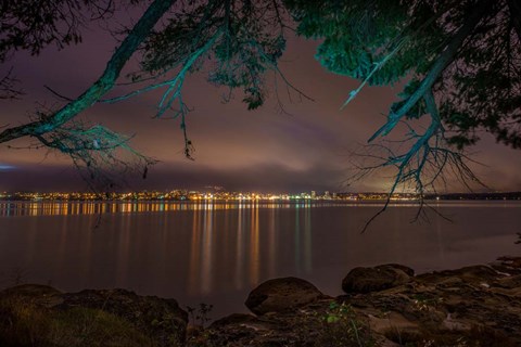 Framed Nanaimo Night Tree Print