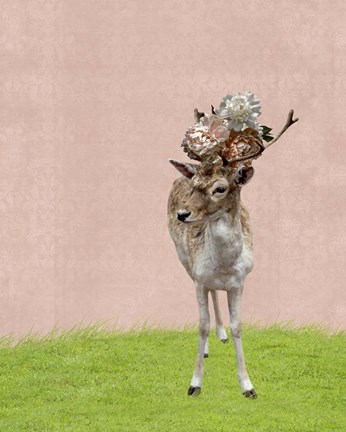 Framed Buck on Pink Print