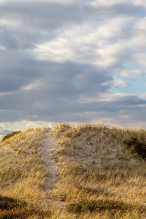 Framed Dunes Trail Print