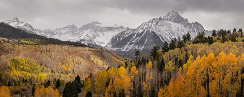 Framed Colorado, San Juan Mountains, Panoramic Of Storm Over Mountain And Forest Print