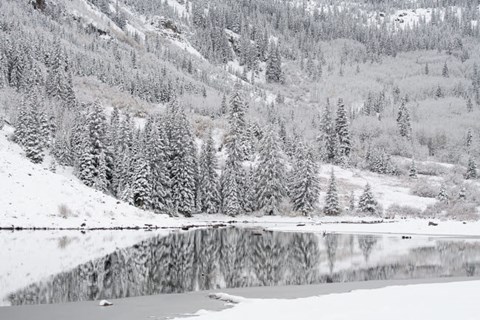 Framed Colorado, Maroon Bells State Park, Autumn Snowfall On Mountain And Maroon Lake Print