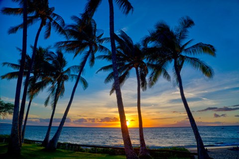 Framed Sunset And Silhouetted Palm Trees, Kihei, Maui, Hawaii Print