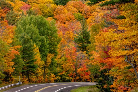 Framed Autumn Color Along Highway 26 Near Houghton, Michigan Print