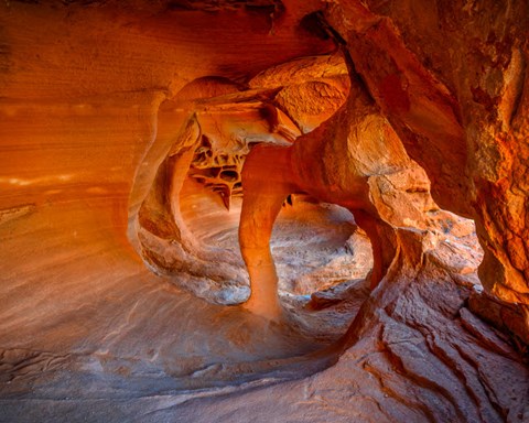 Framed Nevada, Overton, Valley Of Fire State Park Multi-Colored Rock Formation Print