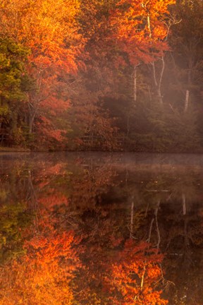 Framed New Jersey, Belleplain State Forest, Autumn Tree Reflections On Lake Print