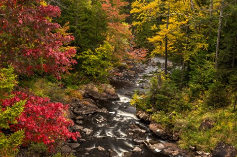 Framed New York, Adirondack State Park Stream And Forest In Autumn Print