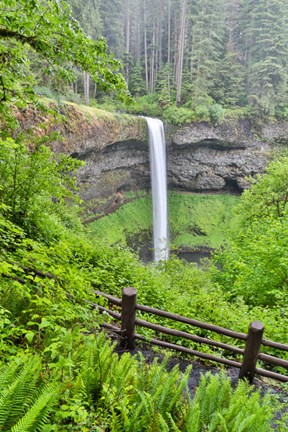 Framed Silver Falls State Park, Oregon South Falls And Trail Leading To It Print