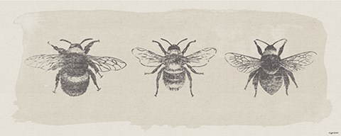 Framed Three Bees Print
