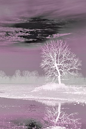 Framed Pink Vision Print