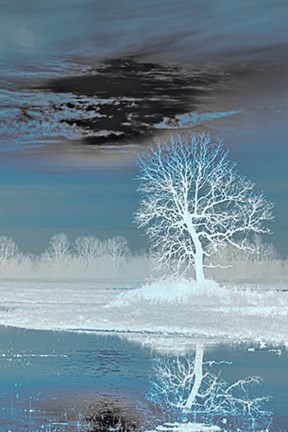 Framed Teal Vision Print