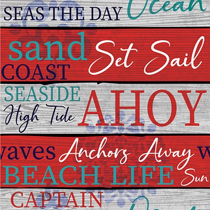 Framed New England Pattern III Print