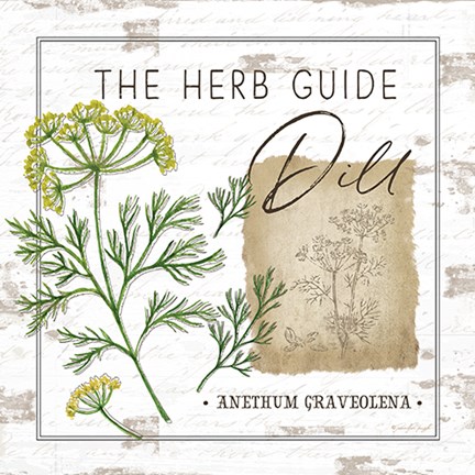 Framed Herb Guide - Dill Print