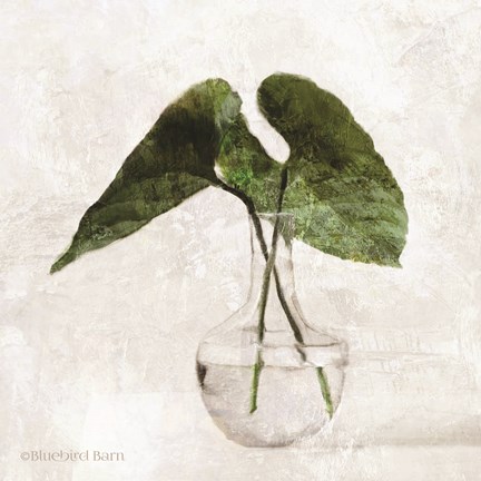 Framed Stems in Glass Print