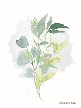 Framed Watercolor Greenery Series II Print