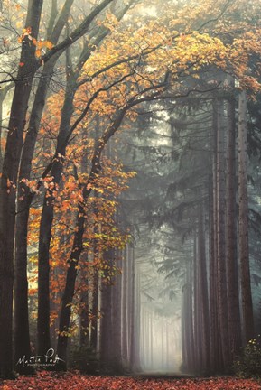 Framed To Another World Print