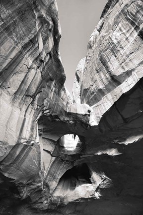 Framed Neon Canyon I BW Print