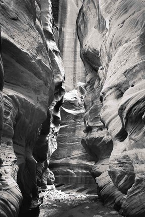 Framed Buckskin Gulch IV BW Print