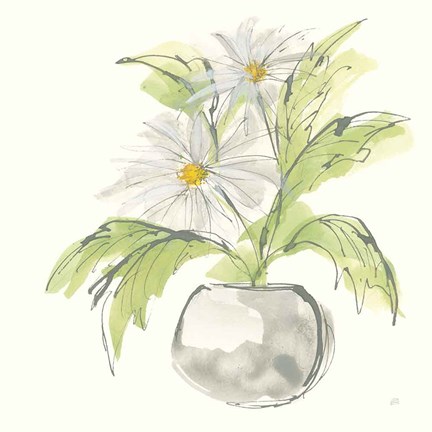 Framed Plant Daisy II Print