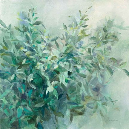 Framed Bay Laurel Print