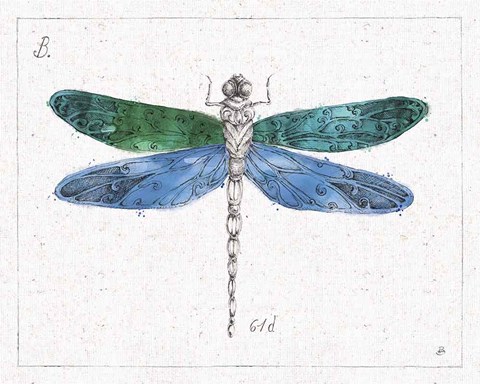 Framed Outdoor Beauties IV Color Print