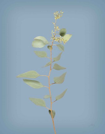 Framed Simple Stems II Blue Crop Print