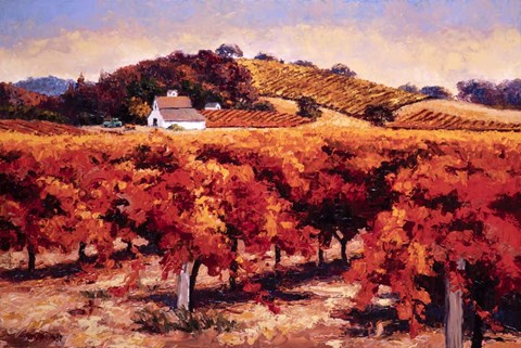 Framed Fields Aflame Print