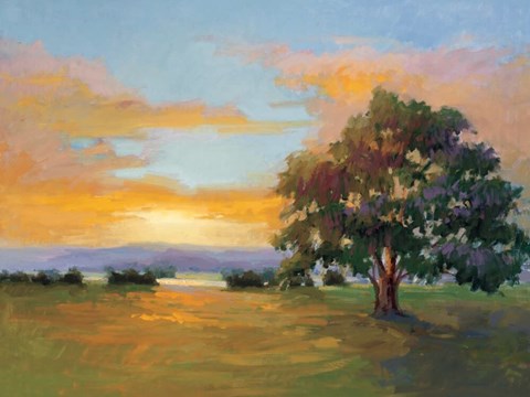 Framed Sunset Salute Print