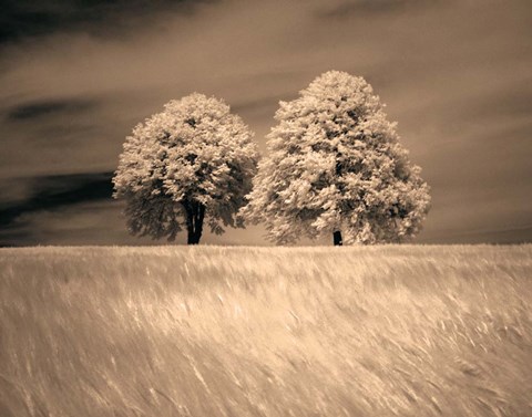 Framed Together and Alone I Print