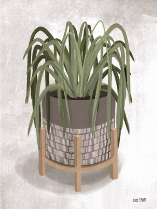 Framed Spider Plant Print