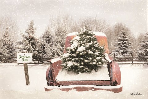 Framed Rustic Christmas Trees Print