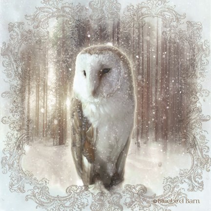 Framed Enchanted Winter Owl Print