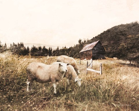 Framed Sheep in the Meadow Print