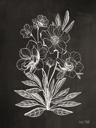 Framed Vintage Chalkboard Flowers Print