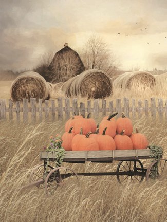 Framed Pumpkin Harvest Print