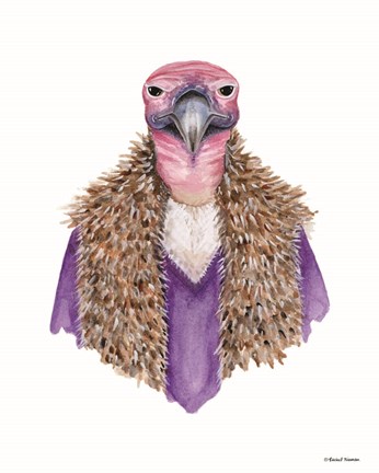 Framed Vulture in a Vest Print