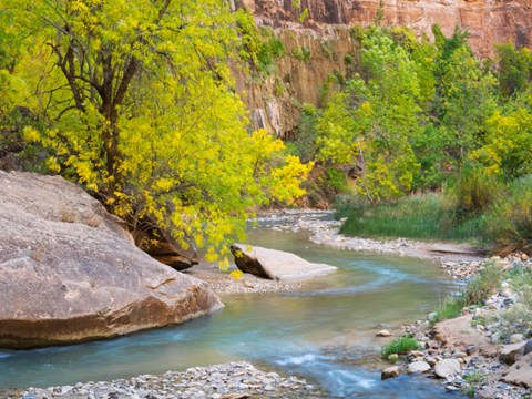 Framed Utah Zion National Park, Virgin River Print