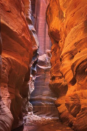 Framed Buckskin Gulch IV Print
