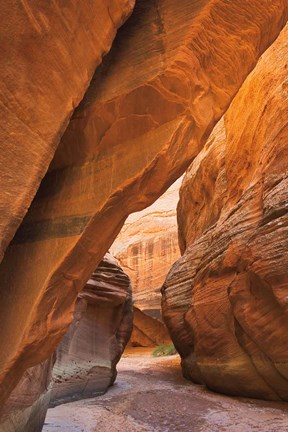 Framed Buckskin Gulch I Print
