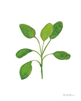 Framed Fresh and Green VII Print