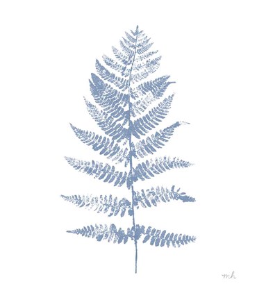 Framed Fern Print II Blue No Shiplap Print