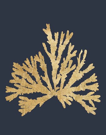 Framed Pacific Sea Mosses IV Indigo Print