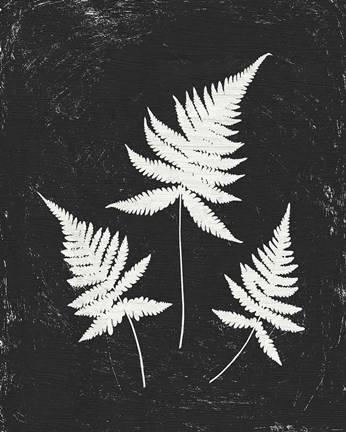 Framed Forest Shadows IV Black Crop Print