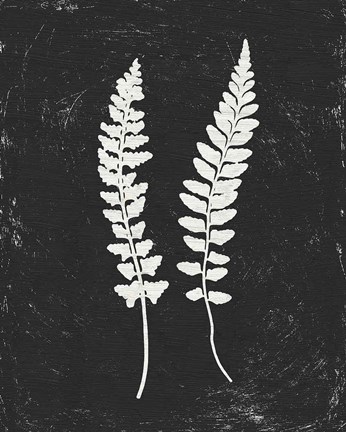 Framed Forest Shadows III Black Crop Print