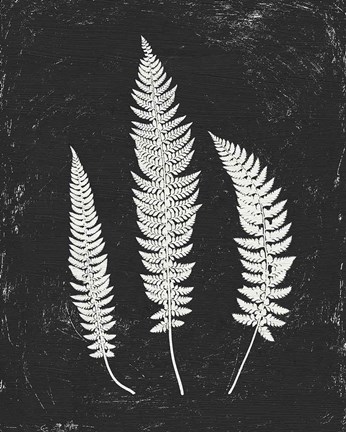 Framed Forest Shadows II Black Crop Print