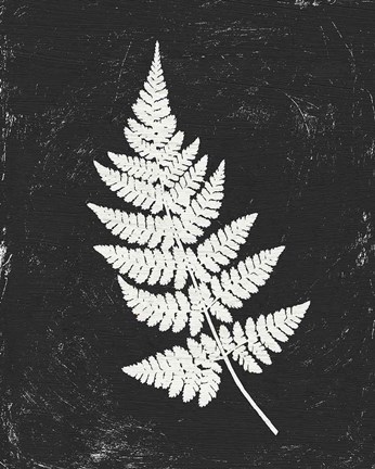 Framed Forest Shadows I Black Crop Print