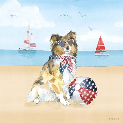 Framed Summer Paws Patriotic V Print
