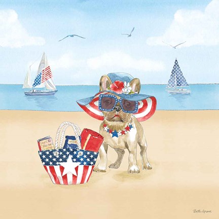 Framed Summer Paws Patriotic IV Print