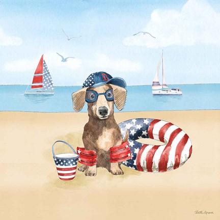 Framed Summer Paws Patriotic III Print